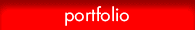 portfolio button